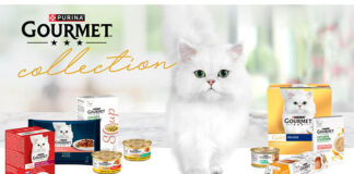 Consigue regalos con Purina Gourmet Consigue regalos con Purina Gourmet