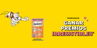 Gana premios con Catisfactions Gana premios con Catisfactions