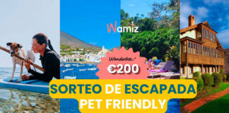 Sorteo de Escapada Pet Friendly de Wamiz Sorteo de Escapada Pet Friendly de Wamiz