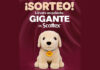 Sorteo de Scottex Sorteo de Scottex