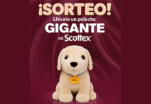 Sorteo de Scottex Sorteo de Scottex