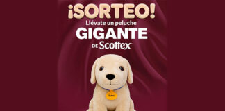 Sorteo de Scottex Sorteo de Scottex